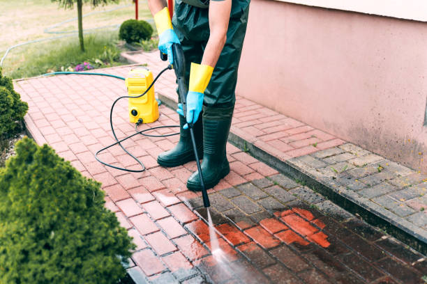 Best Exterior Home Cleaning  in Channahon, IL