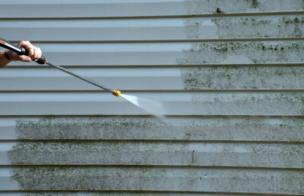 Best Commercial Building Pressure Washing  in Channahon, IL